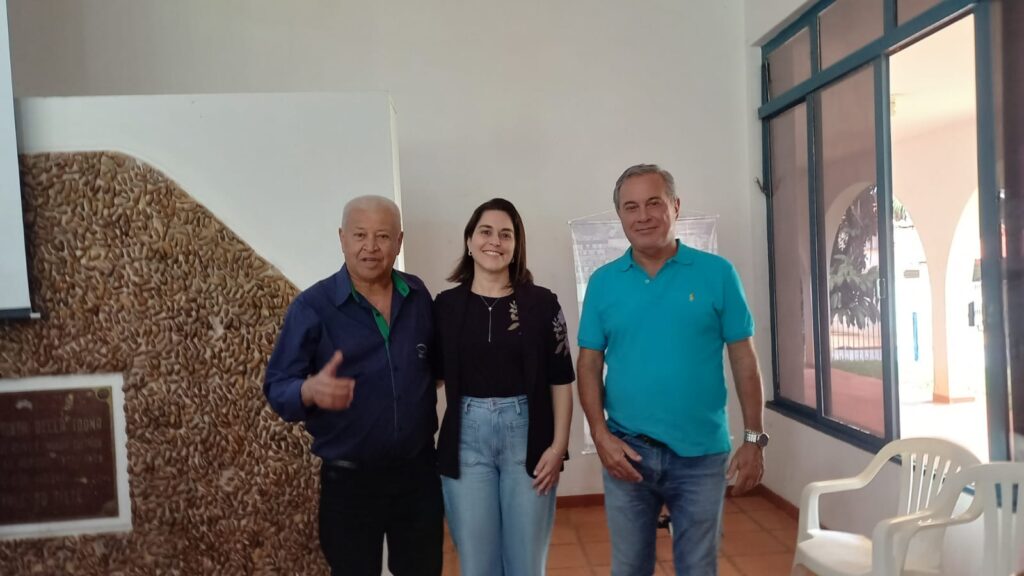 Imagem 4