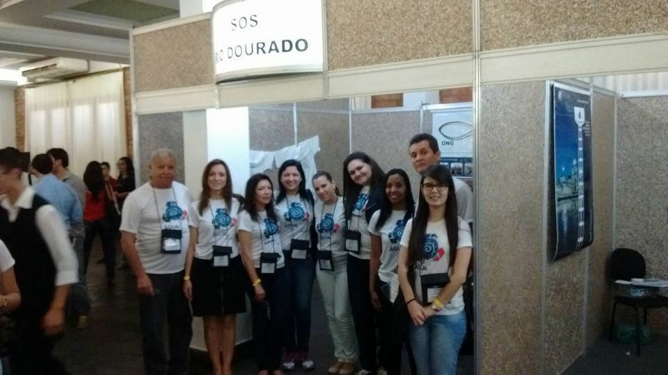 Imagem 4
